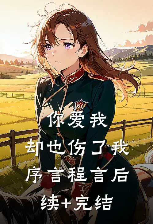 你爱我，却也伤了我序言程言后续+完结
