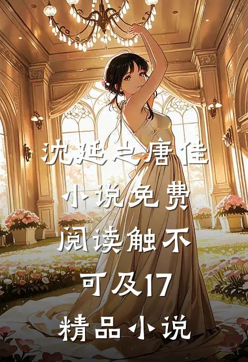 沈延之唐佳小说免费阅读触不可及17精品小说