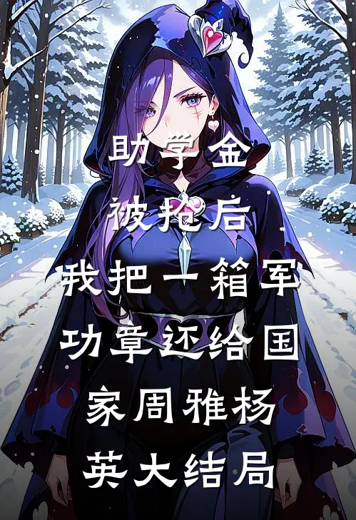 助学金被抢后，我把一箱军功章还给国家周雅杨英大结局