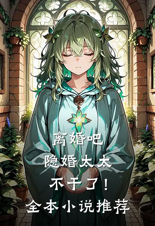离婚吧，隐婚太太不干了！全本小说推荐
