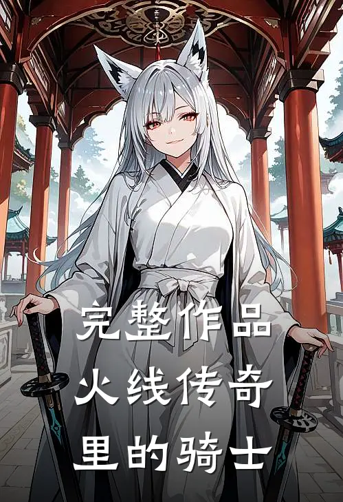 完整作品火线传奇里的骑士