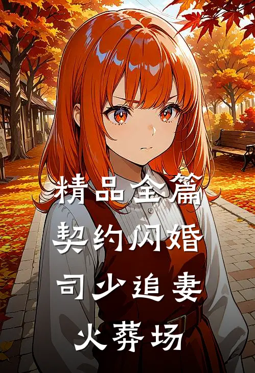 精品全篇契约闪婚：司少追妻火葬场
