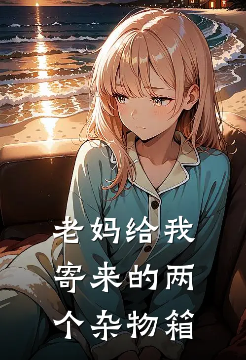 老妈给我寄来的两个杂物箱