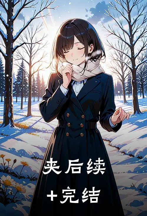 夹后续+完结