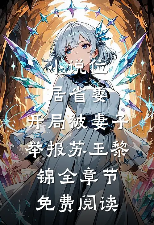小说位居省委，开局被妻子举报苏玉黎锦全章节免费阅读