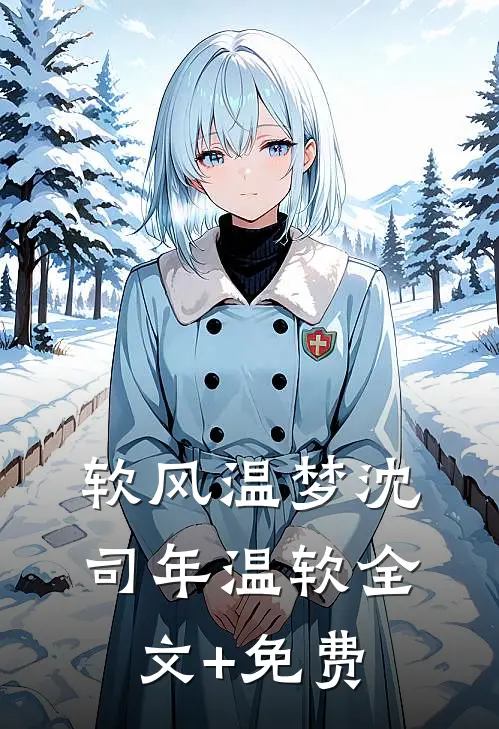 软风温梦沈司年温软全文+免费