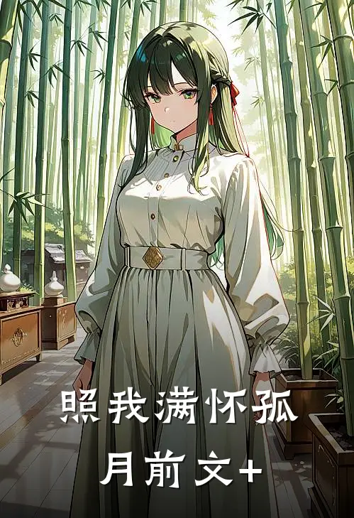 照我满怀孤月前文+