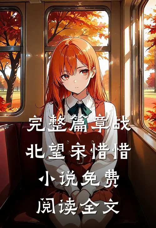完整篇章战北望宋惜惜小说免费阅读全文