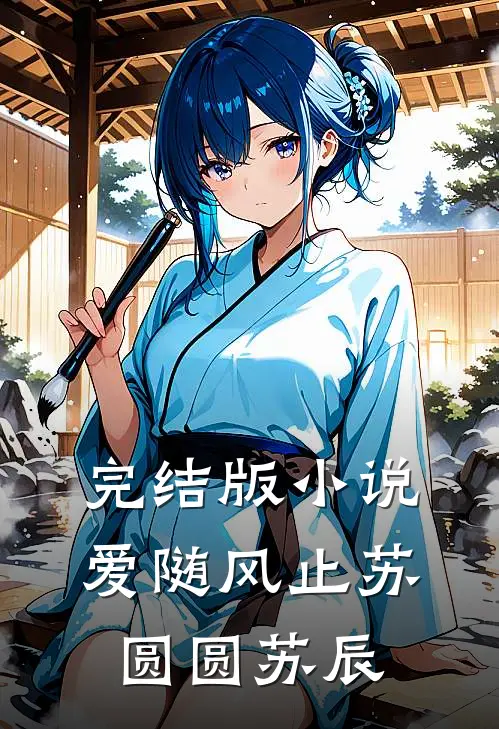 完结版小说爱随风止苏圆圆苏辰