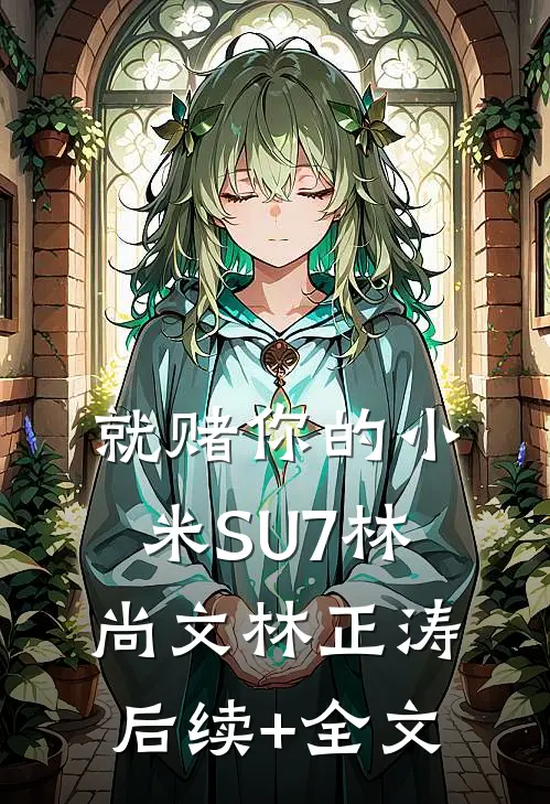 就赌你的小米SU7林尚文林正涛后续+全文