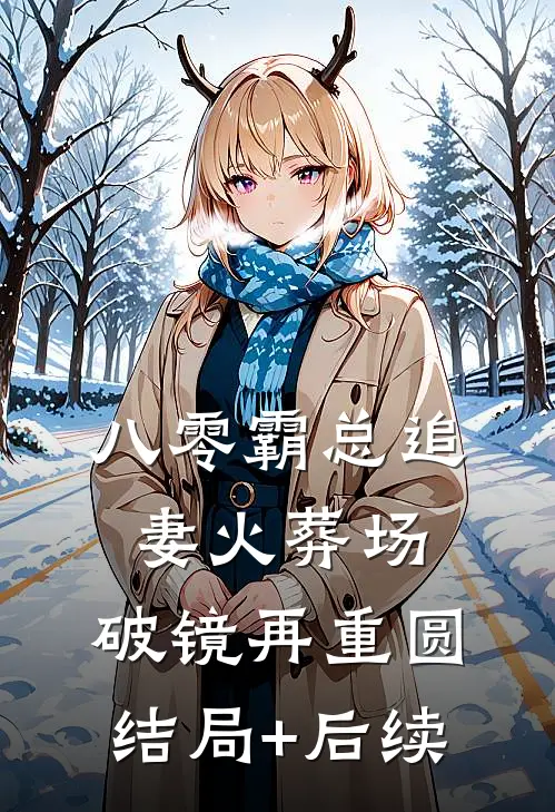 八零霸总追妻火葬场，破镜再重圆结局+后续