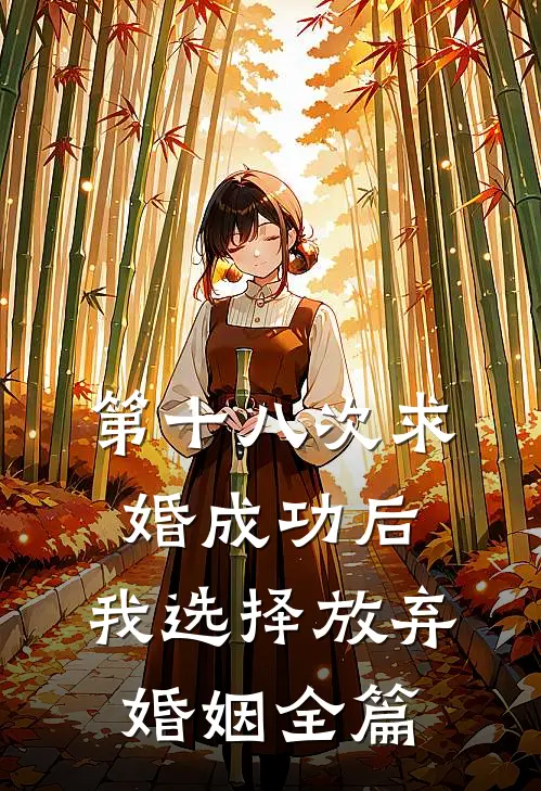 第十八次求婚成功后，我选择放弃婚姻全篇