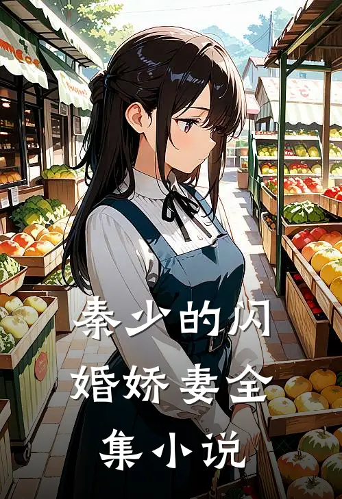 秦少的闪婚娇妻全集小说