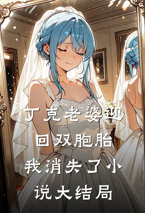 丁克老婆迎回双胞胎，我消失了小说大结局