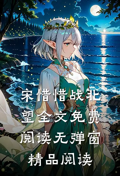 宋惜惜战北望全文免费阅读无弹窗精品阅读