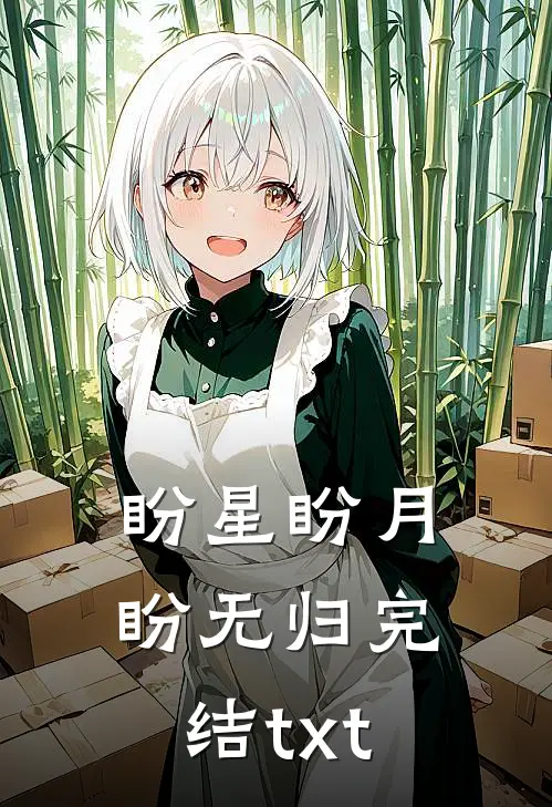 盼星盼月盼无归完结txt