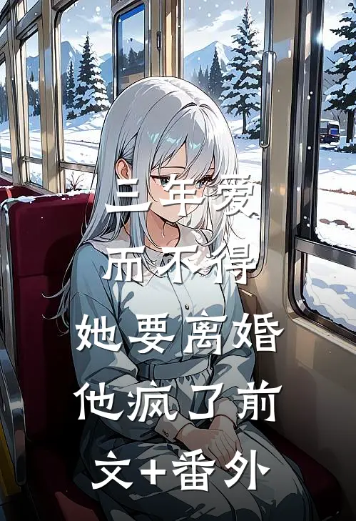三年爱而不得，她要离婚他疯了前文+番外