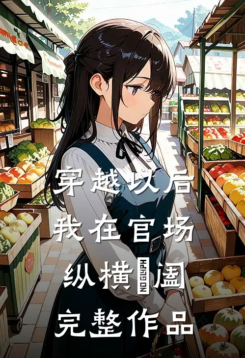 穿越以后，我在官场纵横椑阖完整作品