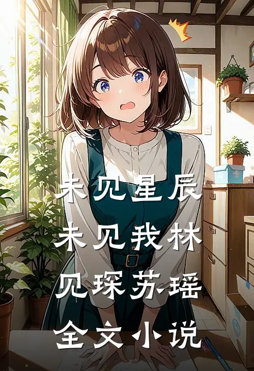 未见星辰未见我林见琛苏瑶全文小说