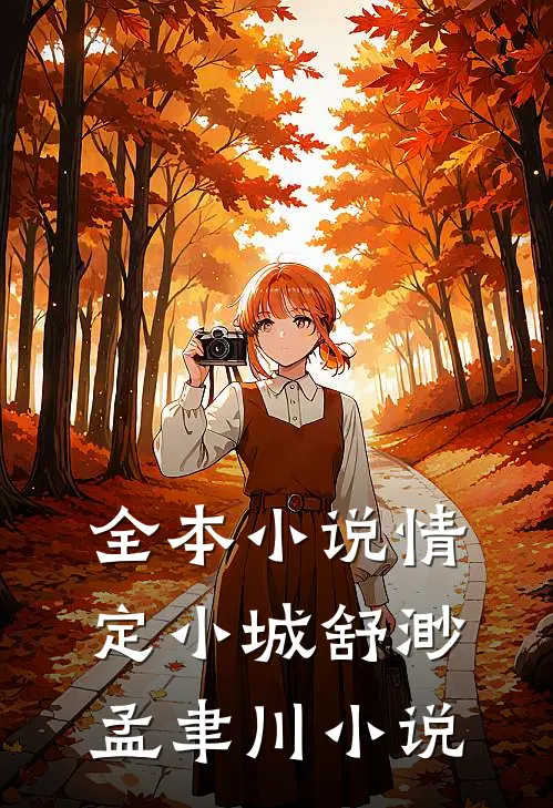 全本小说情定小城舒渺孟聿川小说