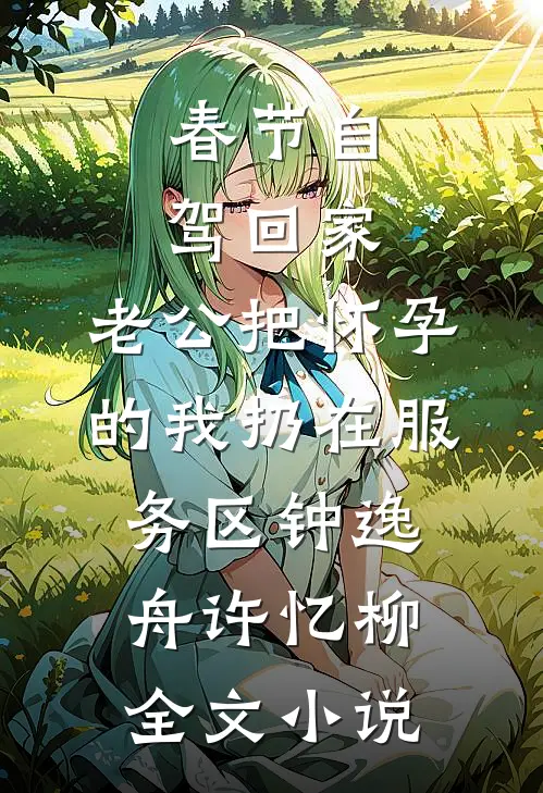 春节自驾回家，老公把怀孕的我扔在服务区钟逸舟许忆柳全文小说