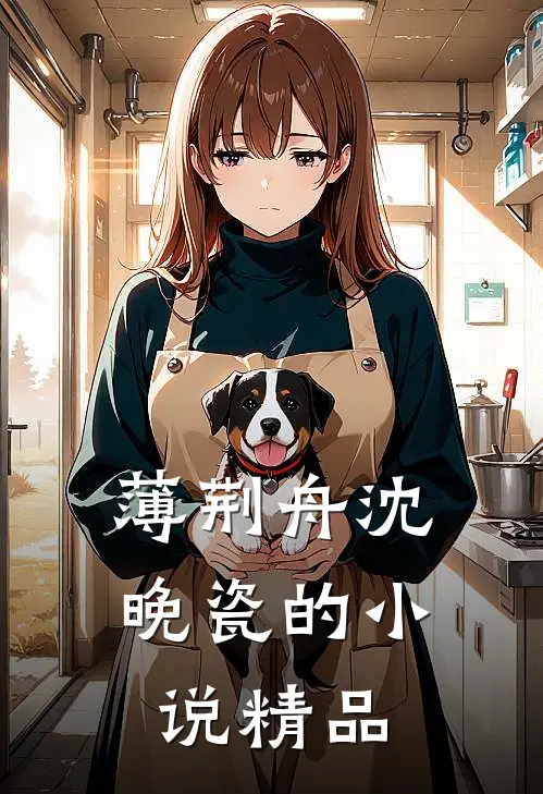 薄荆舟沈晚瓷的小说精品