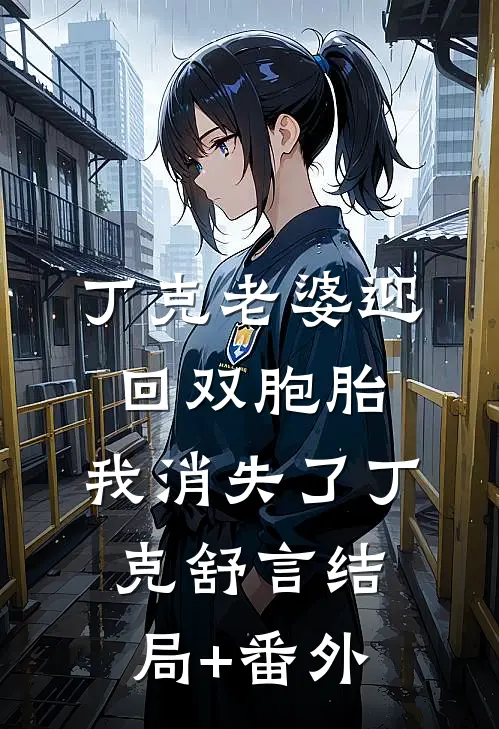 丁克老婆迎回双胞胎，我消失了丁克舒言结局+番外