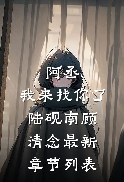 阿丞，我来找你了陆砚南顾清念最新章节列表