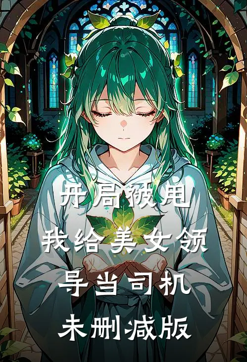 开局被甩，我给美女领导当司机未删减版