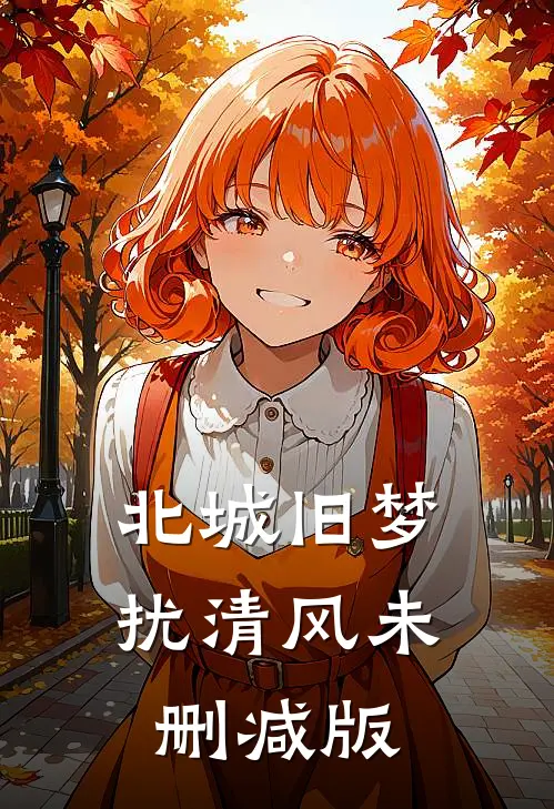 北城旧梦扰清风未删减版