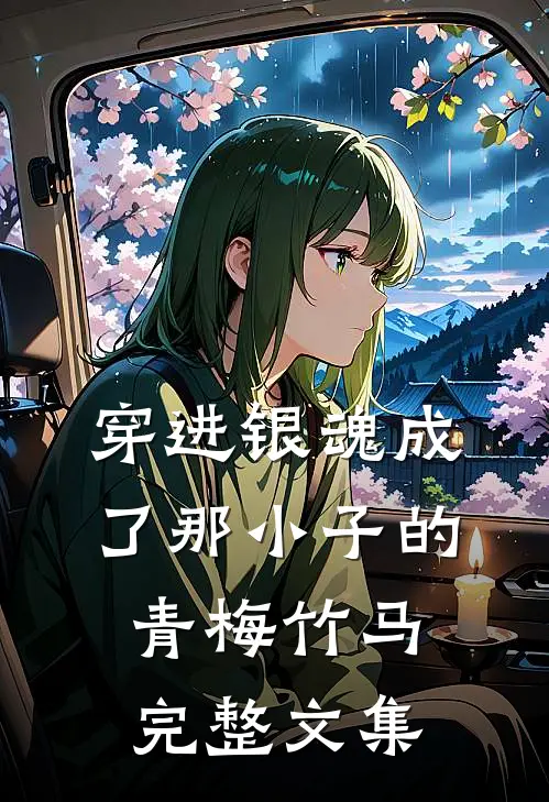 穿进银魂成了那小子的青梅竹马完整文集