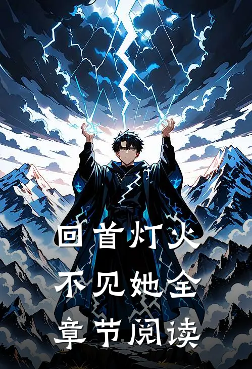 回首灯火不见她全章节阅读
