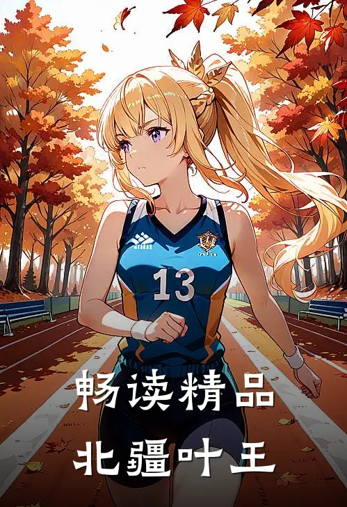 畅读精品北疆叶王