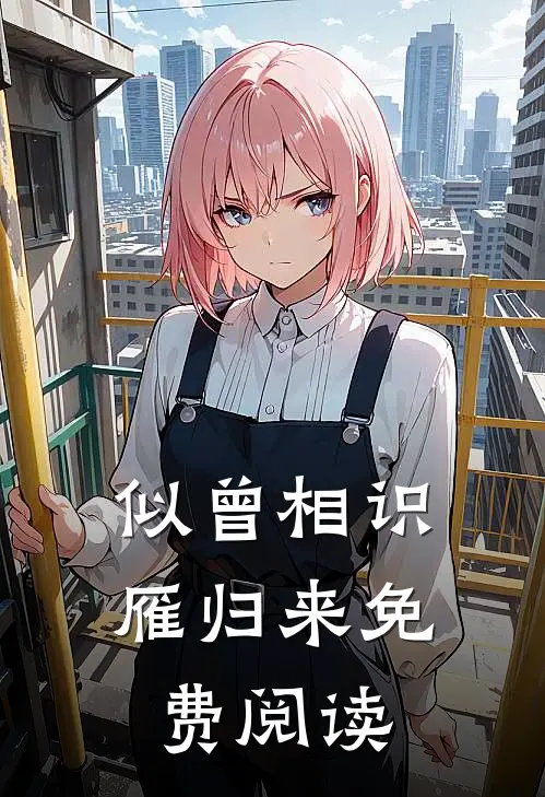 似曾相识雁归来免费阅读