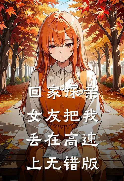 回家探亲，女友把我丢在高速上无错版