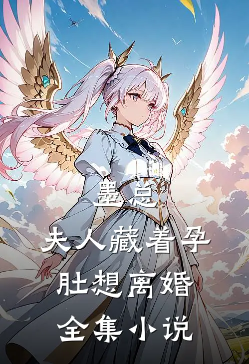 墨总，夫人藏着孕肚想离婚全集小说