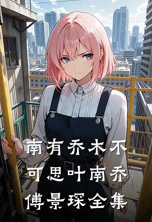 南有乔木不可思叶南乔傅景琛全集
