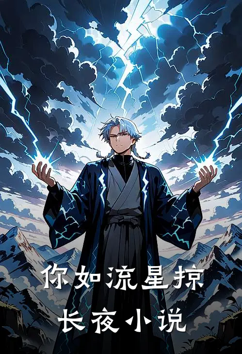 你如流星掠长夜小说