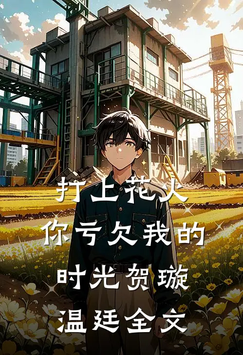打上花火：你亏欠我的时光贺璇温廷全文