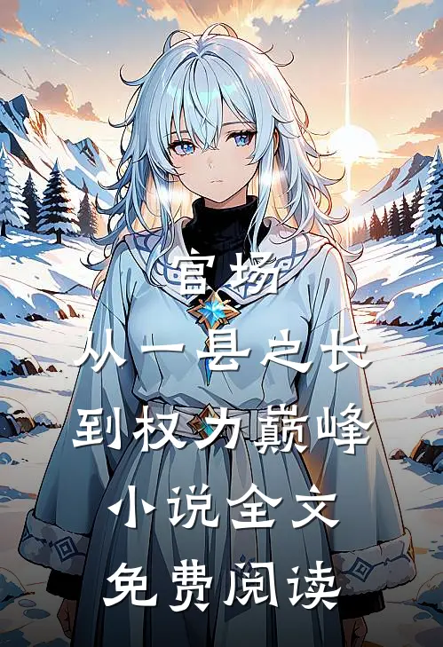 官场：从一县之长到权力巅峰小说全文免费阅读
