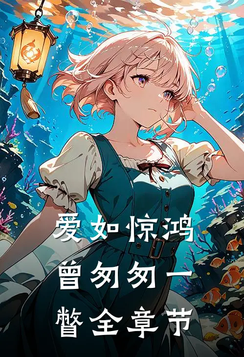 爱如惊鸿，曾匆匆一瞥全章节
