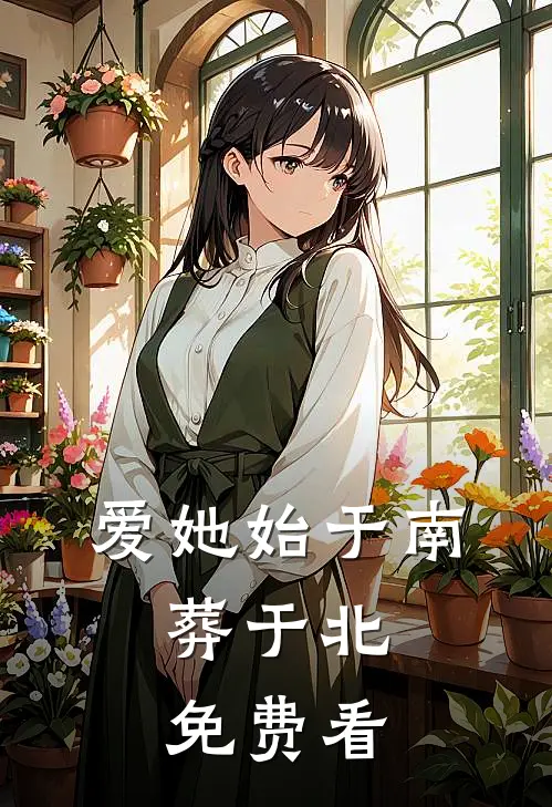 爱她始于南，葬于北免费看