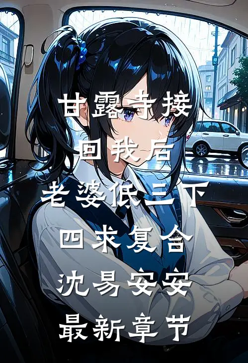 甘露寺接回我后，老婆低三下四求复合沈易安安最新章节