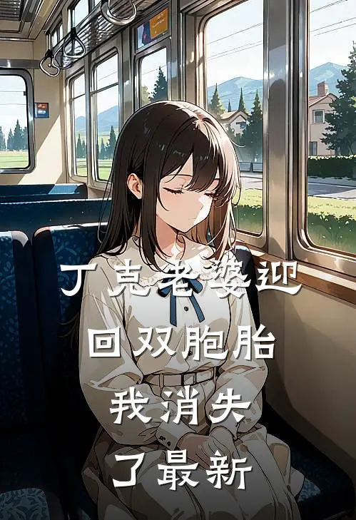 丁克老婆迎回双胞胎，我消失了最新