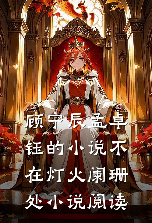 顾宁辰孟卓钰的小说不在灯火阑珊处小说阅读