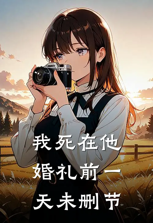 我死在他婚礼前一天未删节