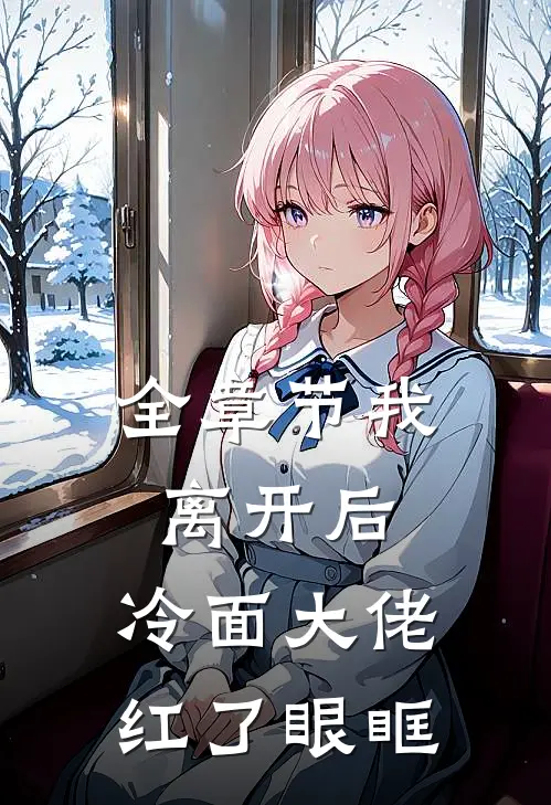 全章节我离开后，冷面大佬红了眼眶
