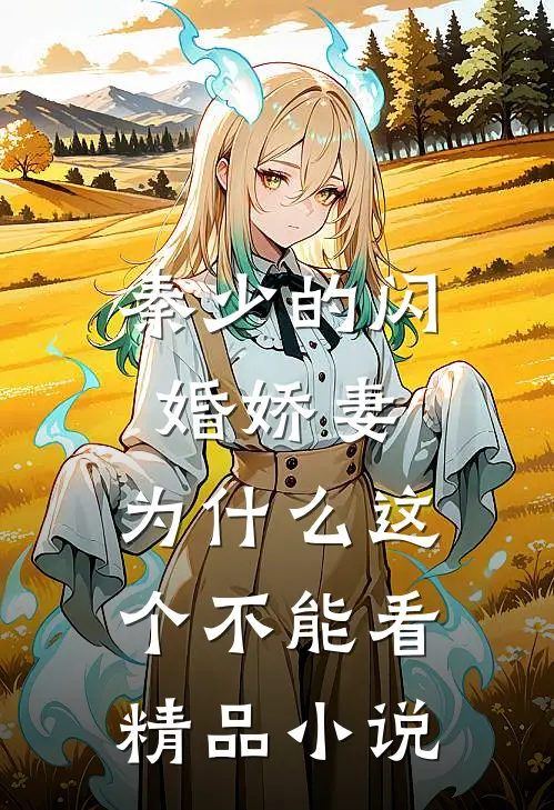秦少的闪婚娇妻,为什么这个不能看精品小说