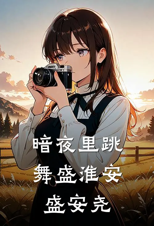 暗夜里跳舞盛淮安盛安尧