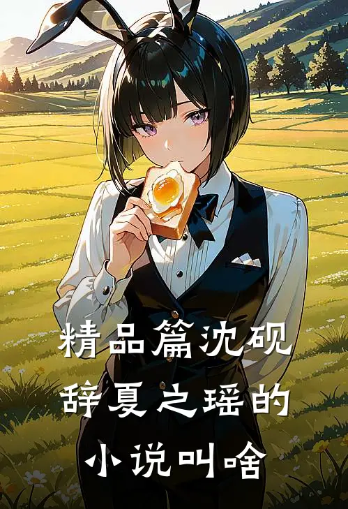 精品篇沈砚辞夏之瑶的小说叫啥